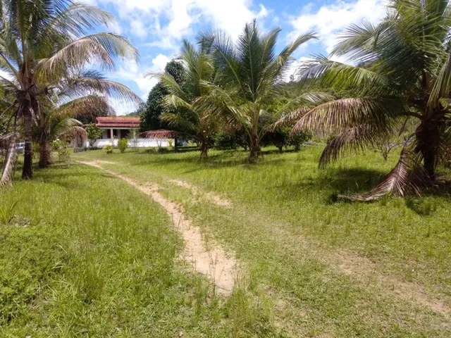 Imagem 8: Vendo Sitio em Catu com Casa 2,5 Tarefas