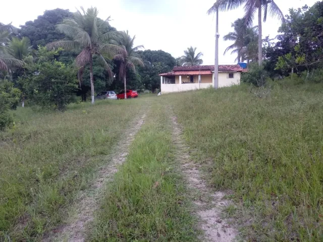 Imagem: Vendo Sitio em Catu de 16 Tarefas e com