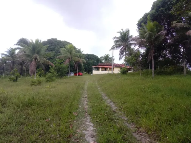 Imagem 14: Vendo Sitio em Catu de 16 Tarefas e com Casa, Escriturado