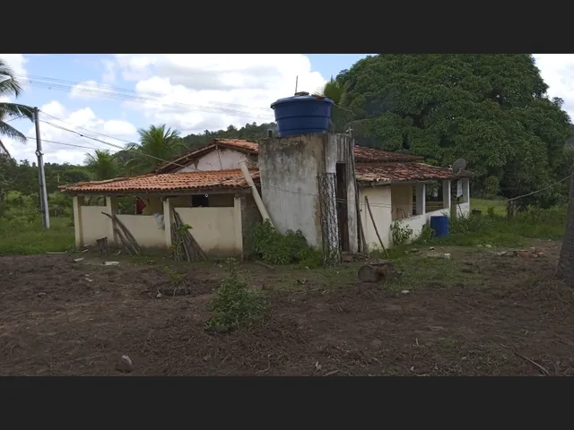 Imagem 3: Vendo Sitio em Catu de 16 Tarefas e com Casa, Escriturado