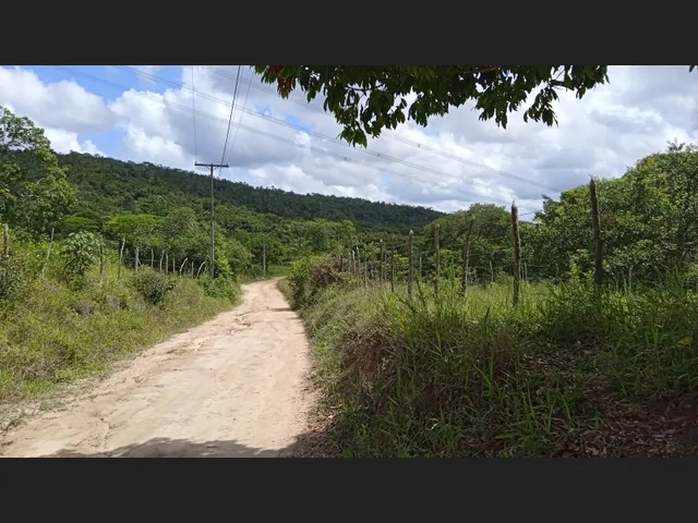 Imagem 7: Vendo Sitio em Catu de 16 Tarefas e com Casa, Escriturado