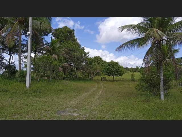 Imagem 12: Vendo Sitio em Catu de 16 Tarefas e com Casa, Escriturado