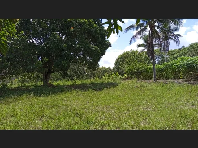 Imagem 15: Vendo Sitio em Catu de 16 Tarefas e com Casa, Escriturado