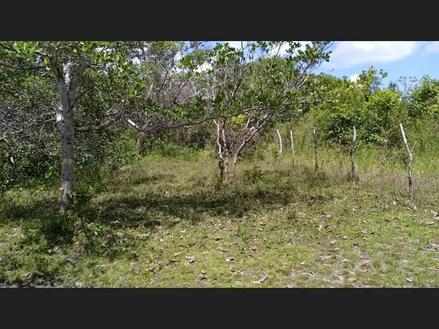 Imagem 5: Vendo Sitio em Catu de 16 Tarefas e com Casa, Escriturado