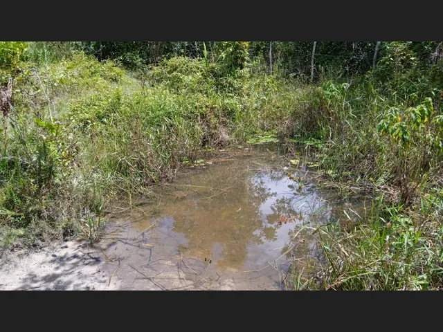 Imagem 13: Vendo Sitio em Catu de 16 Tarefas e com Casa, Escriturado