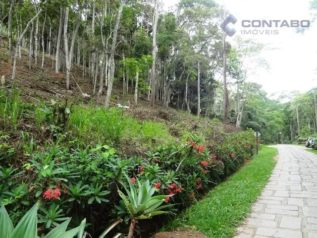 Imagem: Ótimo Terreno em Itaipava Petrópolis/Rj