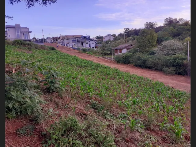 Imagem 3: .