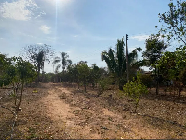 Imagem 8: Impecável Rancho a Venda