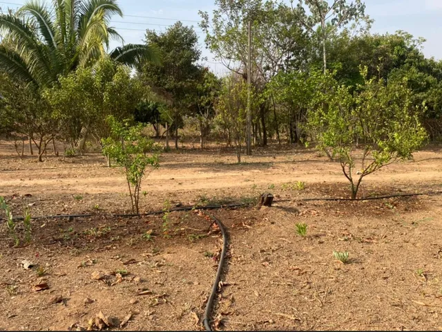 Imagem 3: Impecável Rancho a Venda