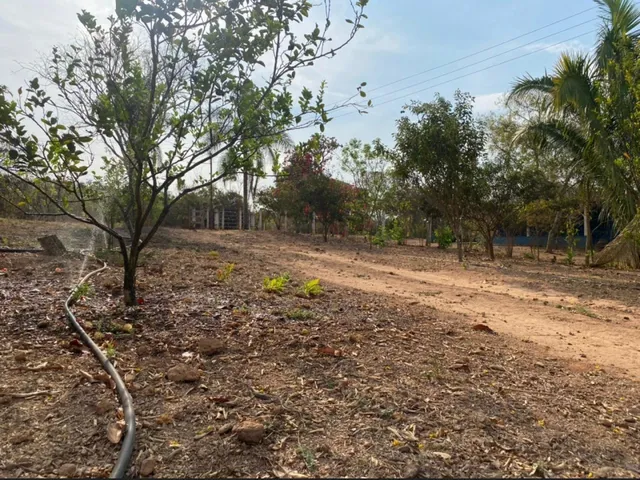 Imagem 5: Impecável Rancho a Venda