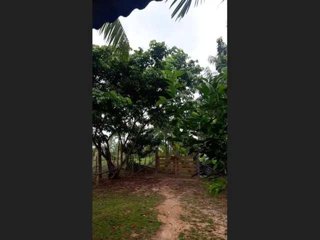 Imagem: Excelente Fazenda Empório da Terra para