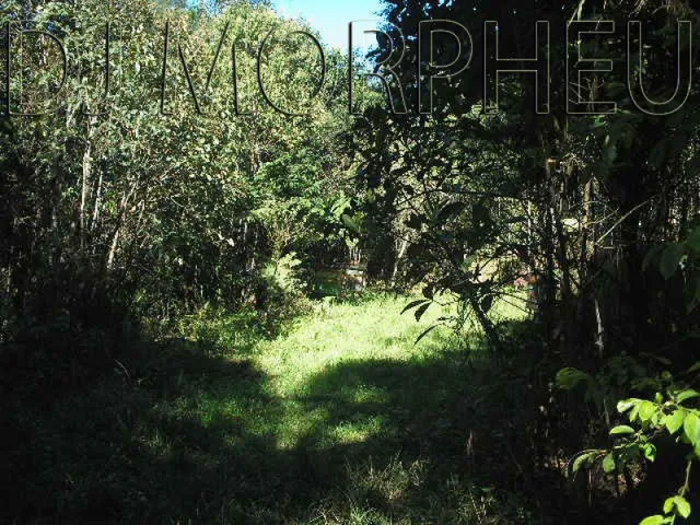 Imagem: Fazenda em Itaiópolis com 114,95 Ha