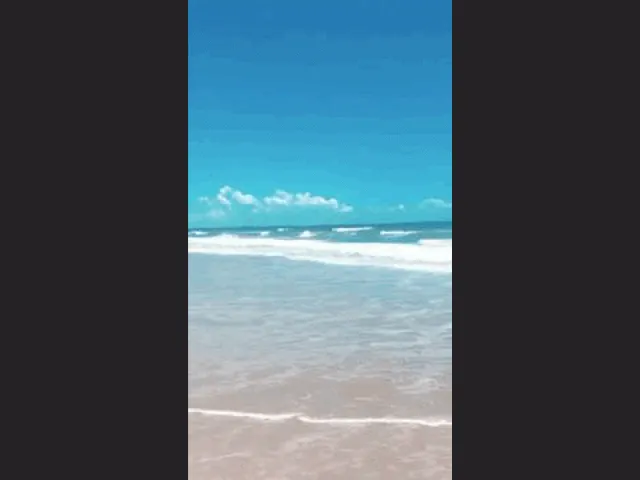 Imagem: Venda Ou Aluguel