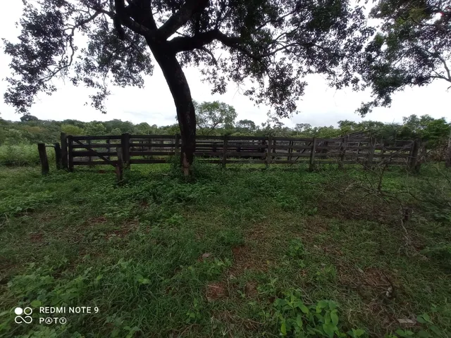 Imagem 9: Vende-Se Sítio em Chapada dos Guimarães