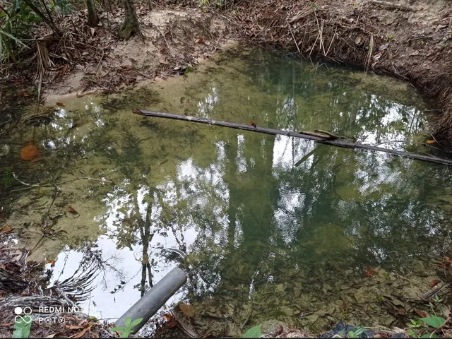 Imagem 6: Vende-Se Sítio em Chapada dos Guimarães