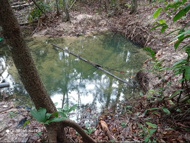 Imagem 4: Vende-Se Sítio em Chapada dos Guimarães