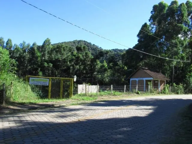 Imagem 7: Sítio Formigão Amarelo
