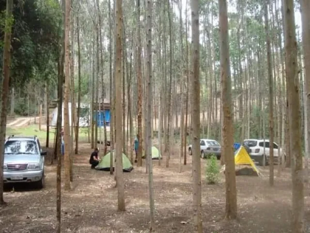 Imagem 6: Sítio Formigão Amarelo