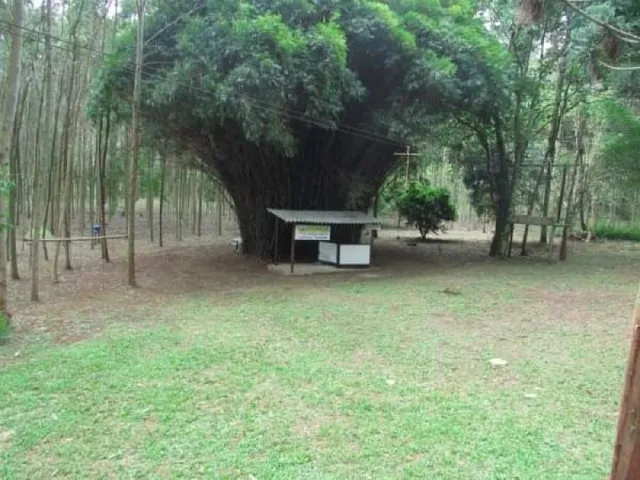 Imagem 2: Sítio Formigão Amarelo