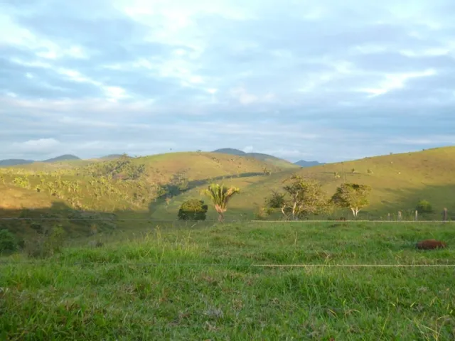 Imagem: Fazenda 514 Hectares Vale do Mucurí em