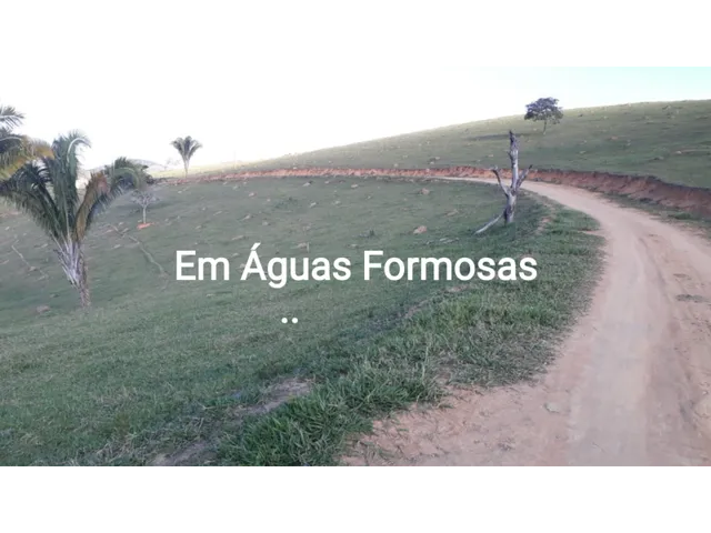 Imagem: Fazenda 200 Hectares Vale do Mucurí em