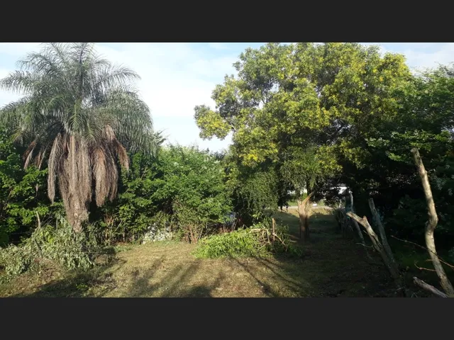 Imagem 3: Vendo Terreno em Boa Esperança-Seropédica