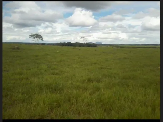 Imagem: Fazenda 200 Hectares Minas Gerais, Gabriel