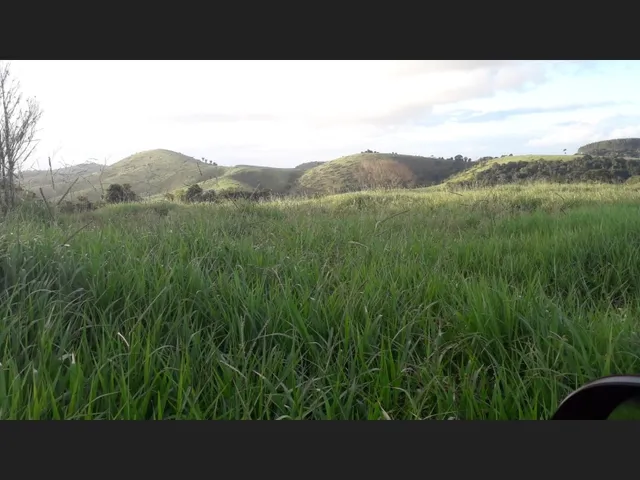 Imagem: Fazenda 1.456 Hectares Sul da Bahia, Itamarajú