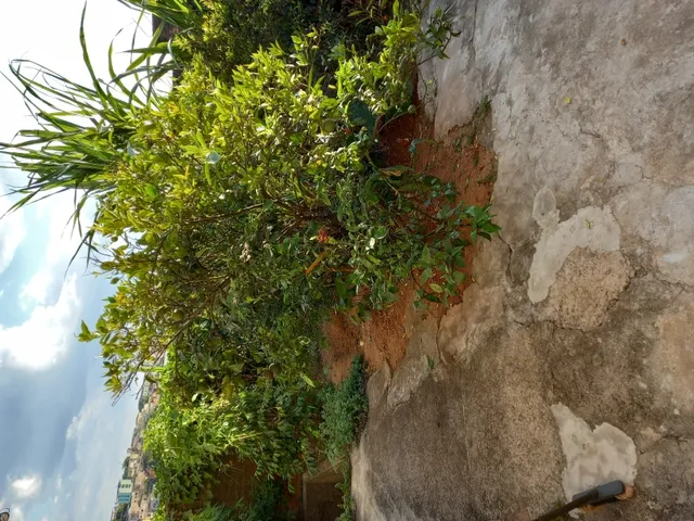 Imagem 5: Excelente Casa À Venda