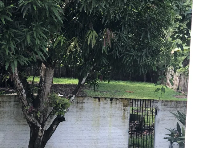 Imagem 7: Exuberante Sobrado