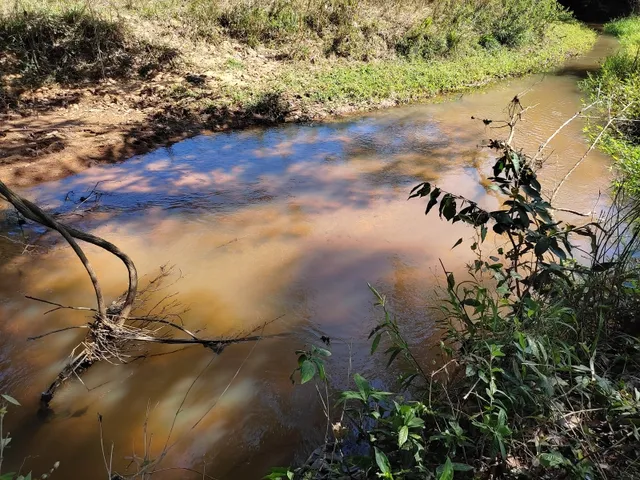 Imagem 1: Fazenda de 23 Há em Itaguara Minas Gerais
