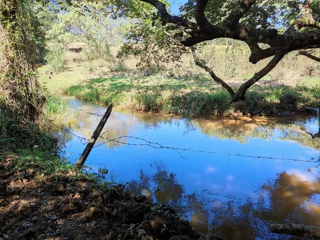 Imagem 3: Fazenda de 23 Há em Itaguara Minas Gerais
