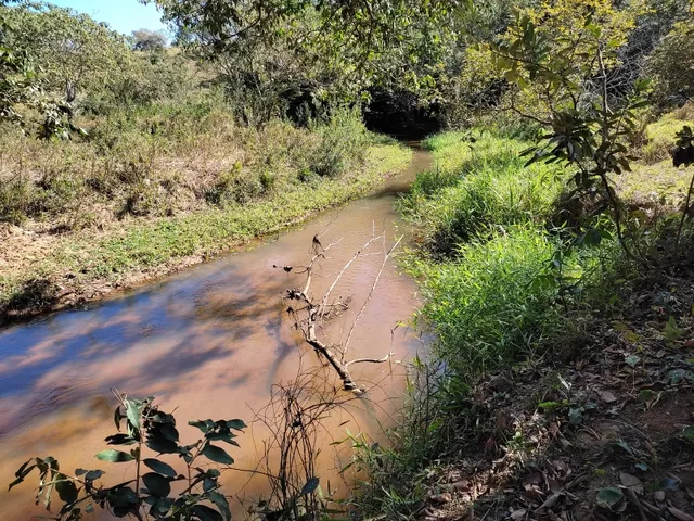 Imagem 5: Fazenda de 23 Há em Itaguara Minas Gerais