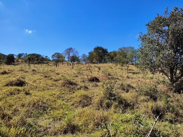 Imagem 4: Fazenda de 23 Há em Itaguara Minas Gerais