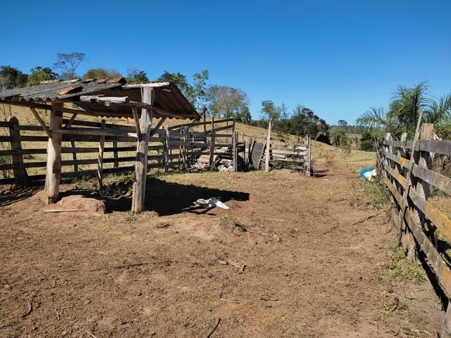 Imagem 8: Fazenda de 23 Há em Itaguara Minas Gerais