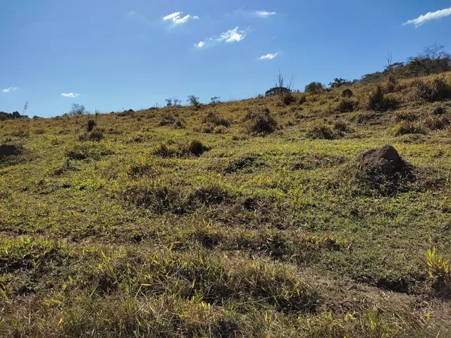 Imagem 11: Fazenda de 23 Há em Itaguara Minas Gerais
