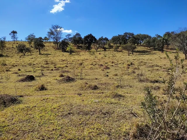 Imagem 7: Fazenda de 23 Há em Itaguara Minas Gerais