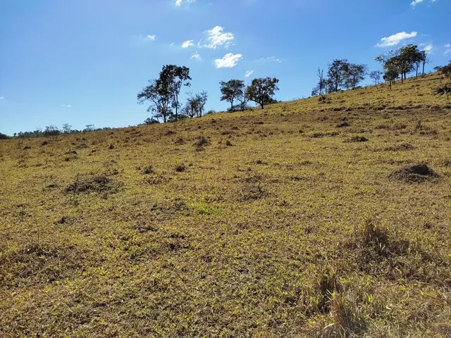 Imagem 14: Fazenda de 23 Há em Itaguara Minas Gerais