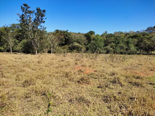 Imagem 2: Fazenda de 23 Há em Itaguara Minas Gerais