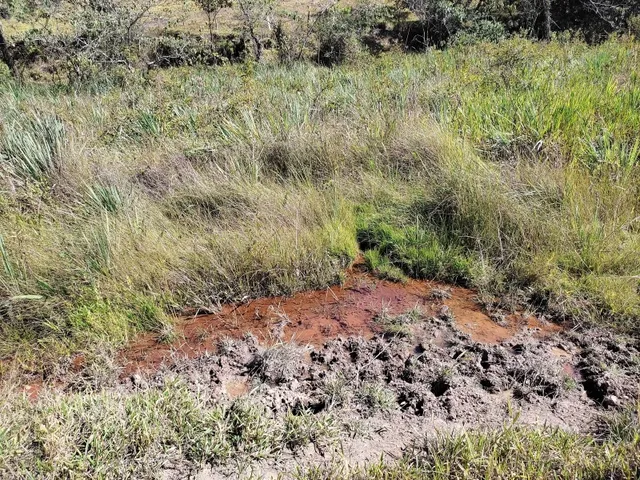 Imagem 6: Fazenda de 23 Há em Itaguara Minas Gerais