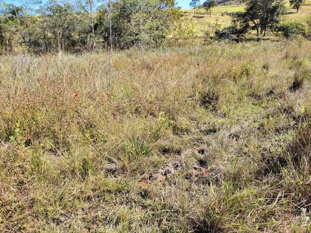 Imagem 15: Fazenda de 23 Há em Itaguara Minas Gerais