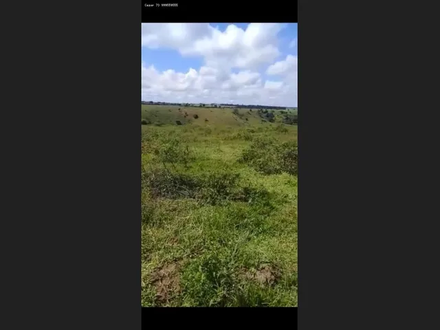Imagem: Fazenda no Sul da Bahia, Una, 1100 Hectares