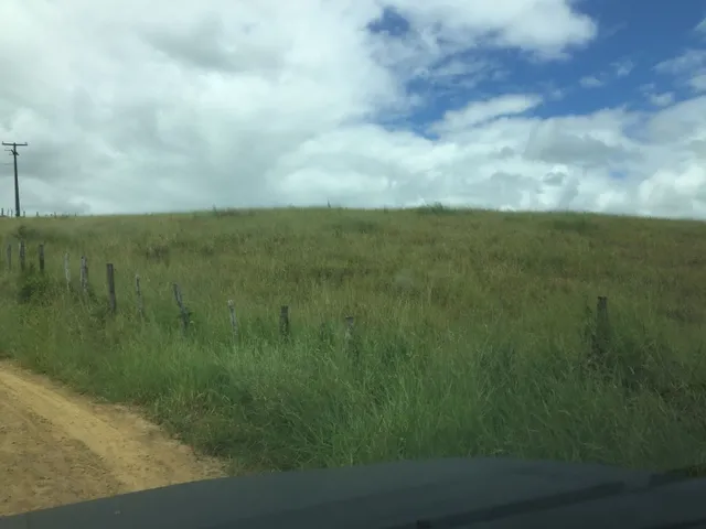 Imagem: Fazenda em São Felipe-Ba