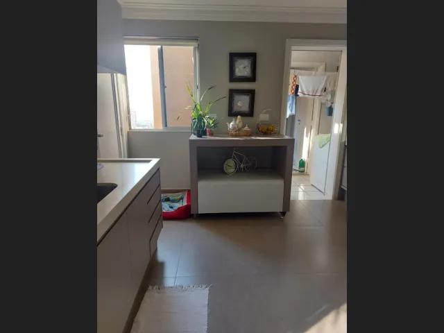Imagem 3: Lindo Apartamento À Venda - Res. Mont Fort