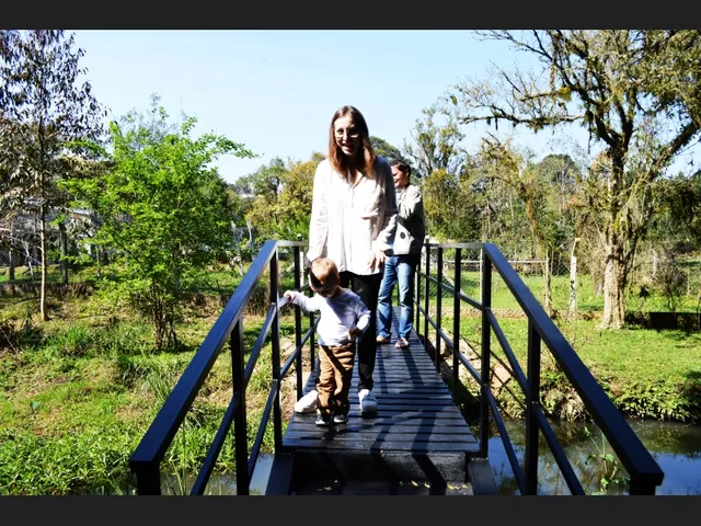 Imagem 8: Linda Chácara Urbana para Eventos - À Venda/Permuta