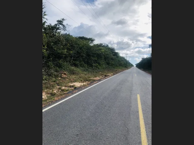 Imagem: Terreno 50.000 M ² em Viçosa do Ceará