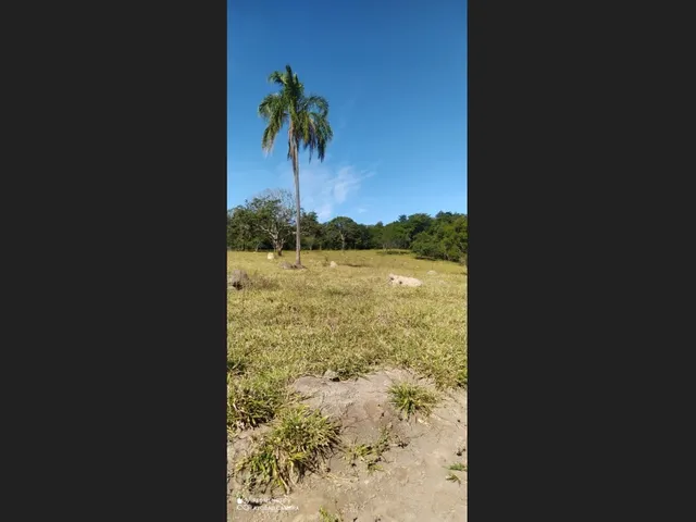 Imagem 2: Chácaras em Florestal