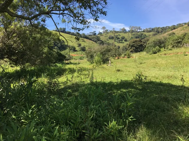 Imagem: Terreno com Córrego