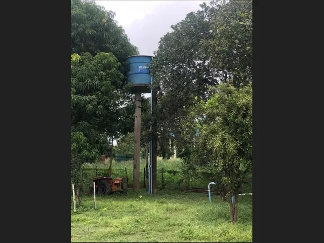 Imagem 4: Ee 002 - Sitio em Altos Próximo da Eurocaju - Egledson