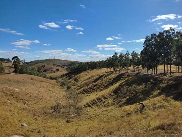Imagem: Fazenda 36 Há em Oliveira Minas Gerais